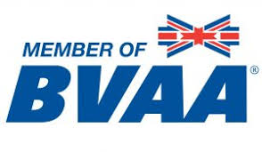 BVAA